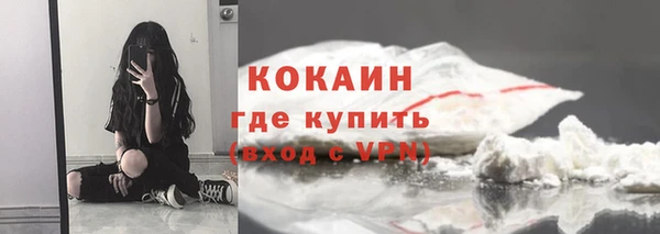 дживик Новозыбков