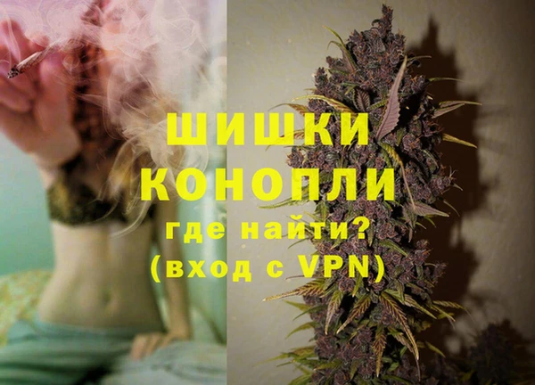 дживик Новозыбков