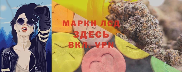 дживик Новозыбков